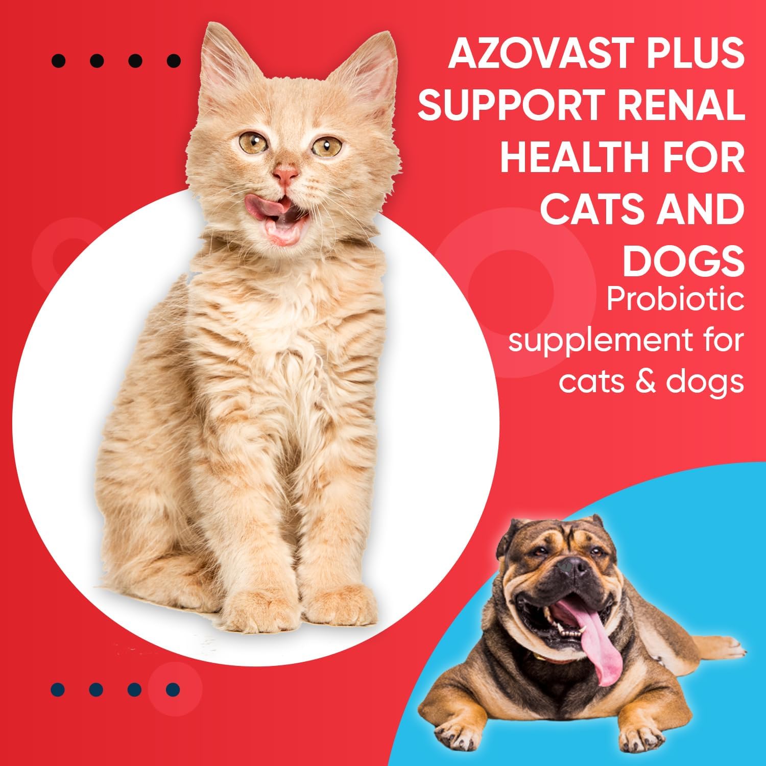 Azovast 120 capsule – Suport renal pentru animale